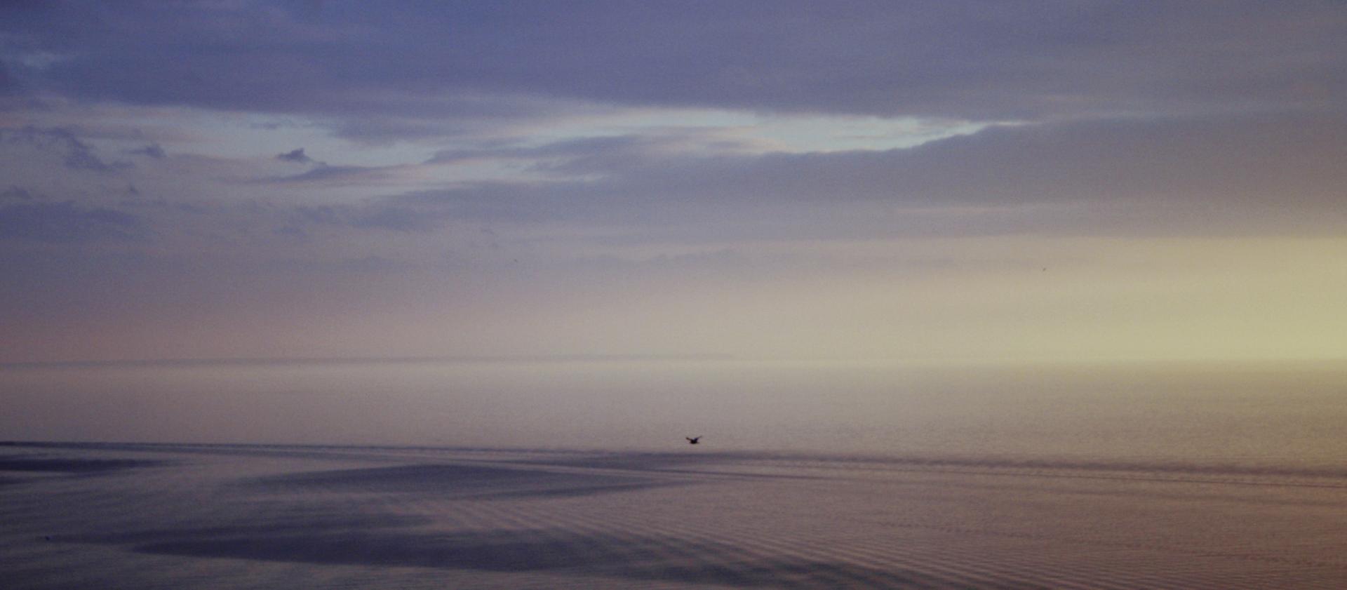 A morning scene of a coastal beach