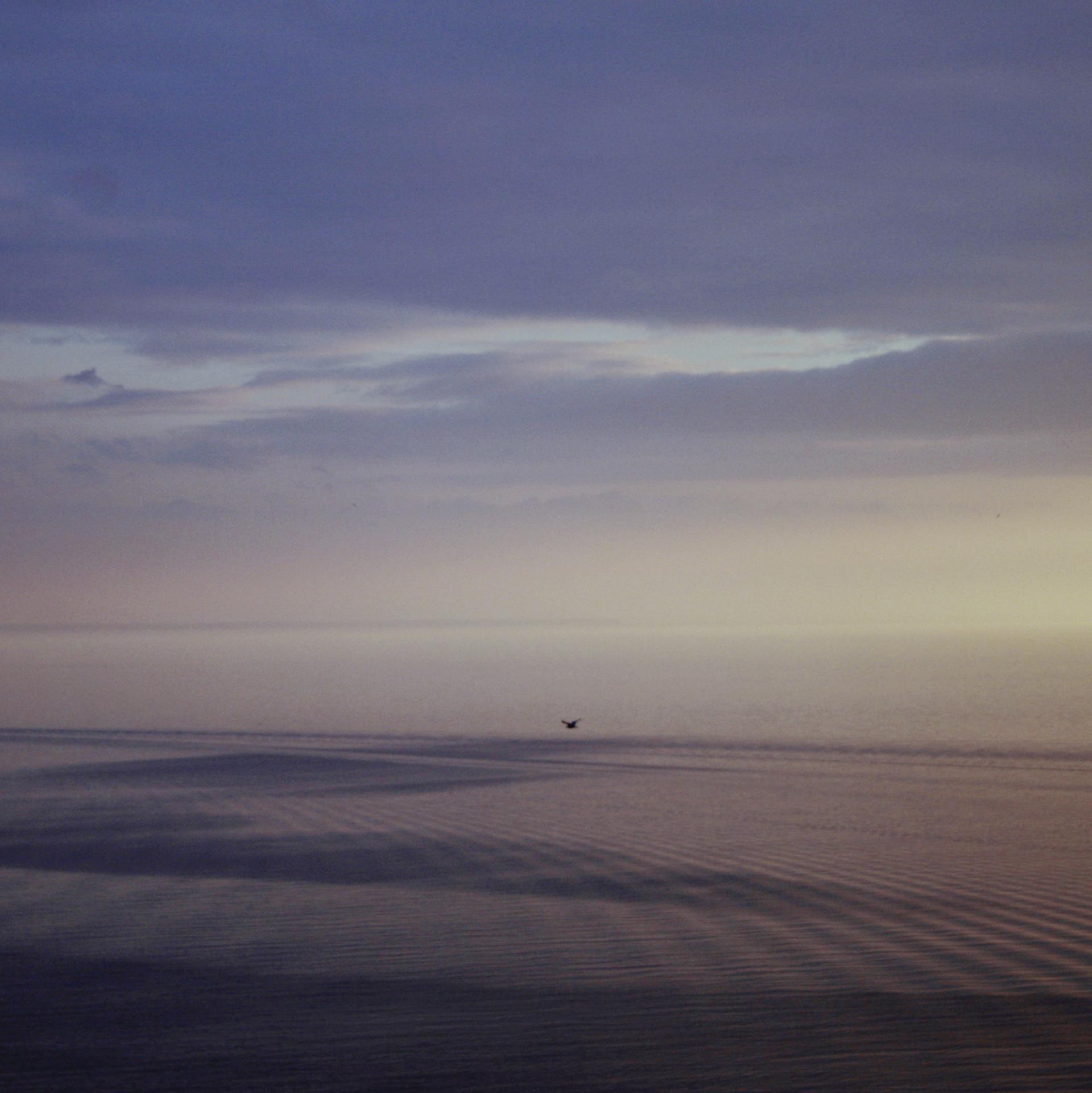 An ocean scene in the morning represents that revitalizing nature of the Enlighten interior theme