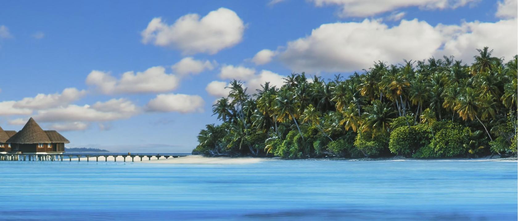 Video thumbnail of the expanded Tropical Paradise theme showing Palm tree-lined tropical island with calm ocean water under a blue sky.