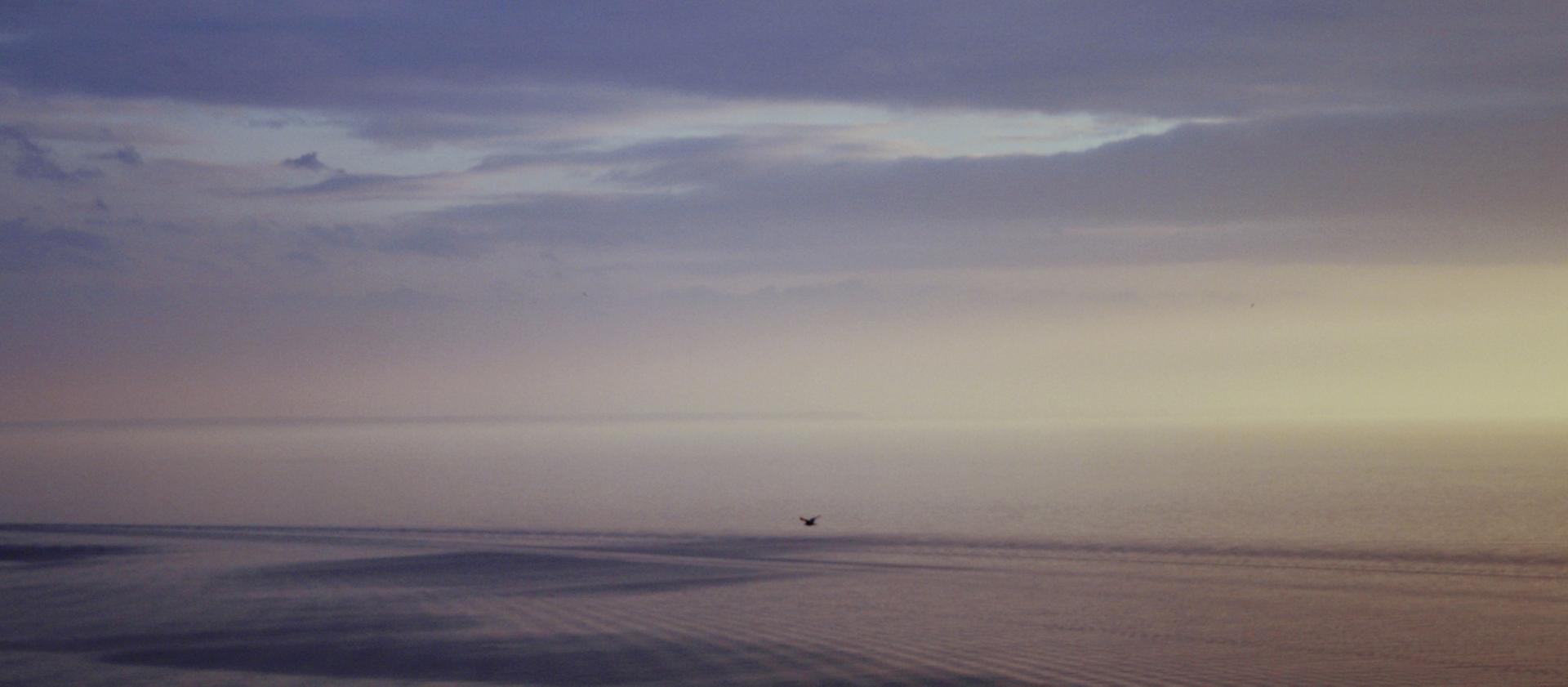 A morning scene of a coastal beach